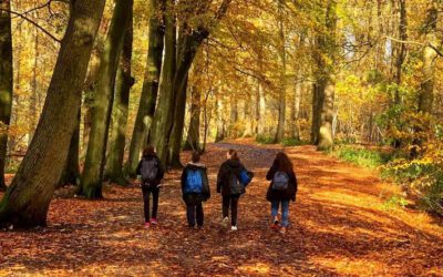 PEAK DISTRICT WALKS